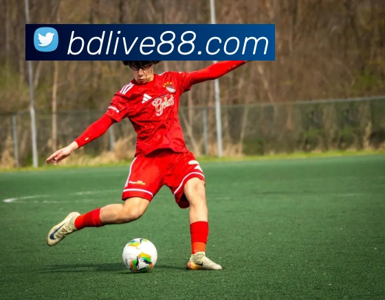 App Interface Preview